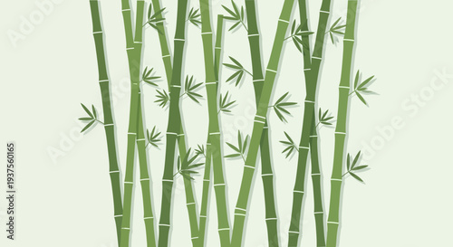 Green Bamboo Forest