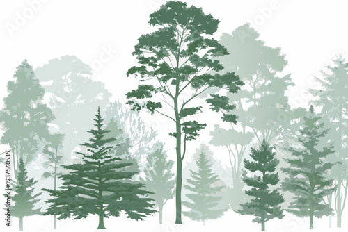 Stylized forest scene with varying shades of green trees illustrated