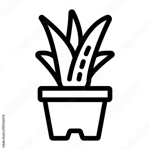 Aloe vera plant Line Icon