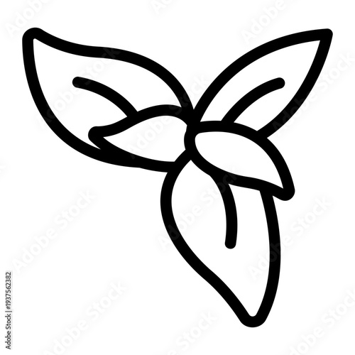 Basil herb Line Icon