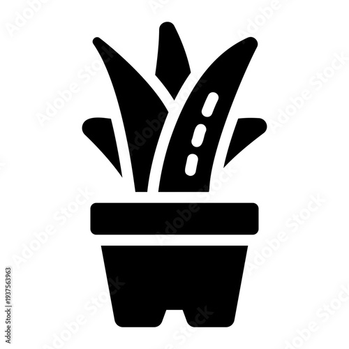 Aloe vera plant Solid icon