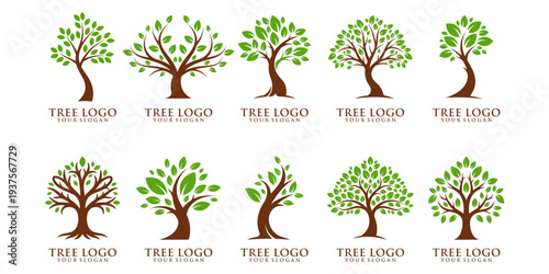 Modern tree logo collection with stylized leaves and curved trunks, clean vector design perfect for environmental and sustainable brands.