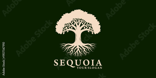 giant sequoia logo design inspiration
