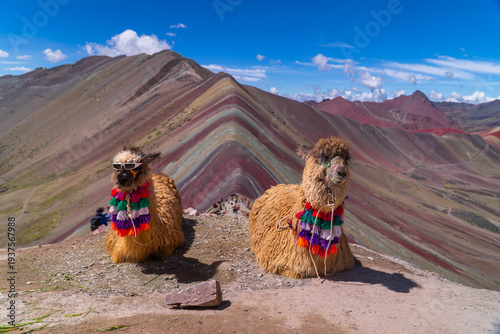 Konstfotografi Rainbow Mountain llamas with sunglasses Vinicunca Montaña de Siete Colores Peru