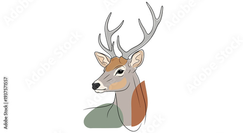 Illustration of a deer with large antlers in a simple style.