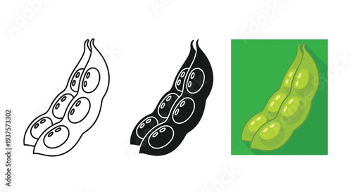Edamame soybean pods vector illustration in multiple styles including outline and flat design for healthy food concepts.