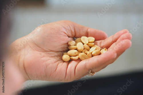 Hand holds raw peanuts in a home setting during the day