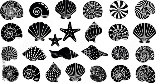 Seashell and starfish silhouette collection featuring ocean shell shapes spiral shells scallop and marine elements isolated vector set for beach design nautical decoration