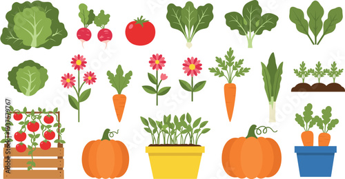 Garden vegetables and plants vector set including tomato carrot pumpkin lettuce flowers and seedlings isolated illustration for farming gardening organic food design