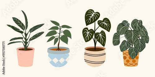 Four potted houseplants in a minimalist illustrative style are displayed