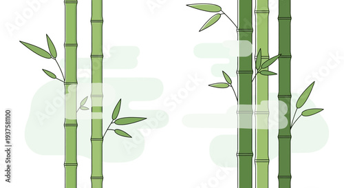 Green Bamboo Stalks with Leaves