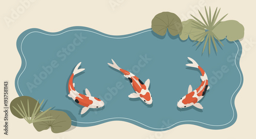 Koi Fish Swimming in a Pond