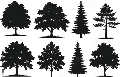 Set of detailed black tree silhouettes including oak, maple and pine varieties isolated on white background, realistic forest elements for landscape and botanical design projects.