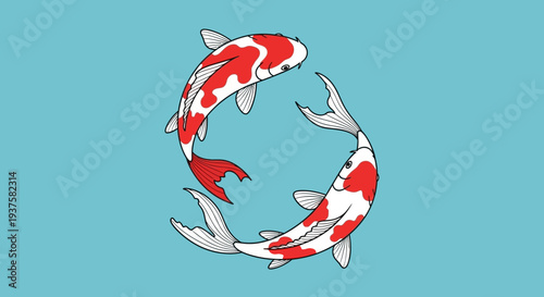 Koi Fish Swimming in Circle