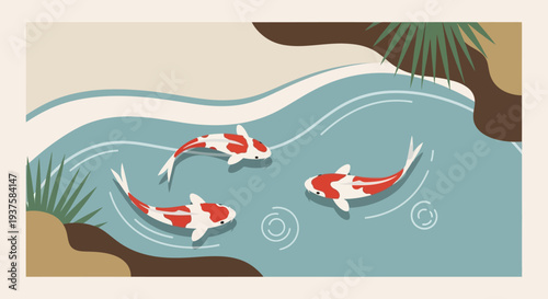 Koi Fish Swimming in Pond, Japanese Garden Style
