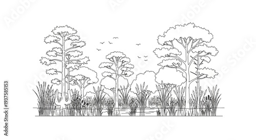 Black and White Landscape of a Swampy Forest with Tall Trees and Reeds