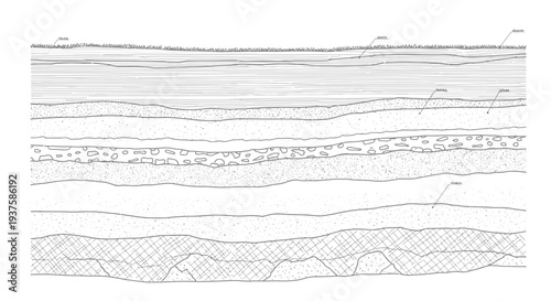 Geological cross-section showing soil layers, rock strata, and sedimentary deposits