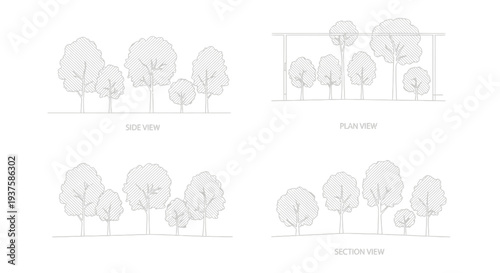 Architectural Tree Views: Side, Plan, and Section