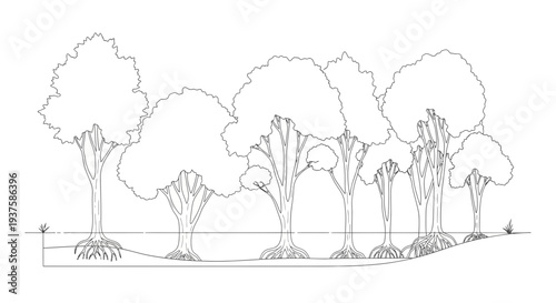 Mangrove Forest Ecosystem Illustration: Roots, Trees, and Tidal Zone