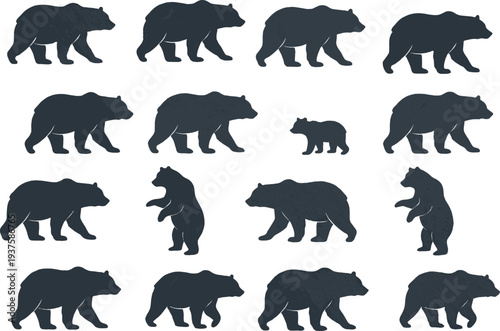 Collection of fifteen bear silhouettes in various poses including walking, standing, and cub figures, wildlife animal vector illustration design for nature, forest, and educational art.