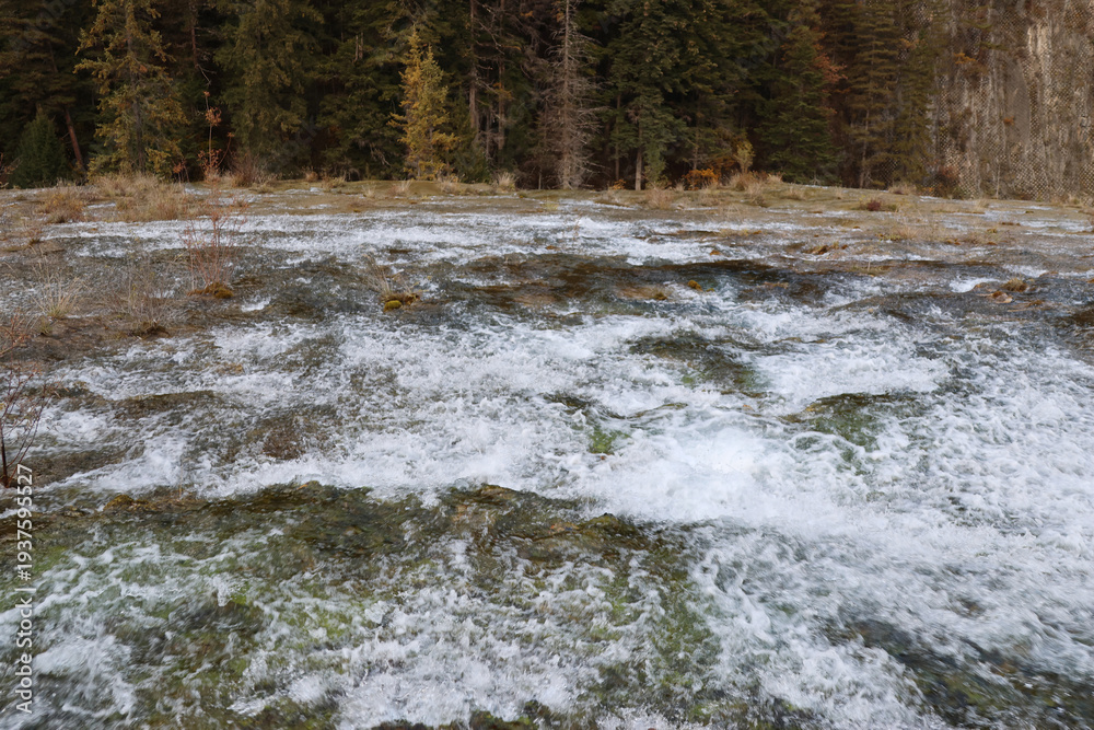 Fototapeta premium Shrubs and rocks dotted over Pearl Shoals before to the cliff edge and eventually became the Pearl Shoals Waterfall, Jiuzhai Valley National Park in autumn, China
