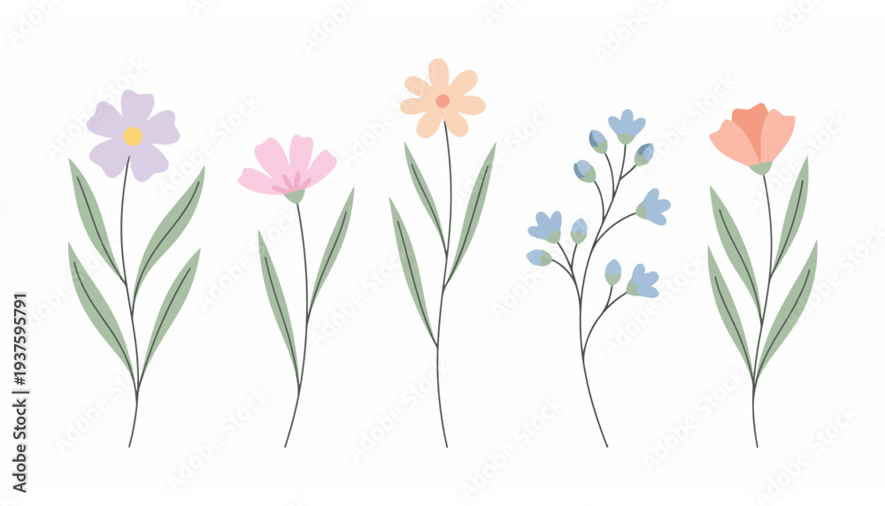 Fototapeta premium Delicate Hand-Drawn Floral Illustrations Featuring Various Wildflowers in Pastel Hues