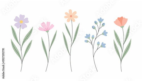 Delicate Hand-Drawn Floral Illustrations Featuring Various Wildflowers in Pastel Hues