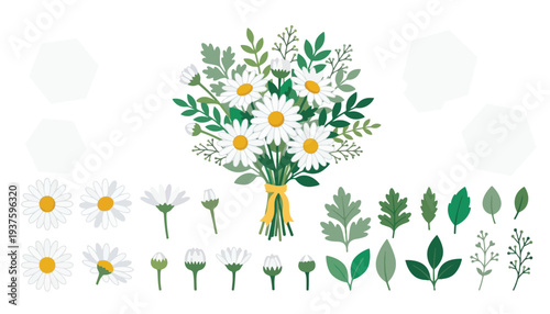Beautifully Illustrated Daisy Bouquet and Floral Elements for Design Projects