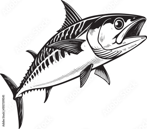King Mackerel Fish (Sport Fish) Hand-drawn Sketch Drawing Vector Illustration, Line Linear Symbol Black and White Engraving, Isolated