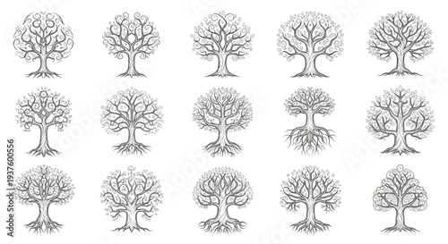 Collection of stylized ancient and bare tree silhouettes with intricate branches and roots, perfect for emblem and design