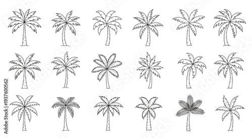 Collection of different palm trees in a simple line art style