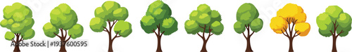 Cartoon green tree collection with different forest garden and park trees isolated nature landscape illustration set