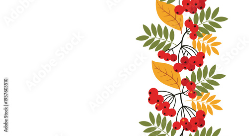 Beautiful vertical border design featuring a repeating pattern of vibrant red rowan berries clustered among lush green and golden autumn leaves, perfect for fall decorations.