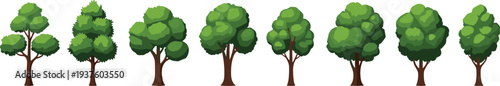 Green cartoon tree collection with different forest and garden trees isolated nature plant illustration set