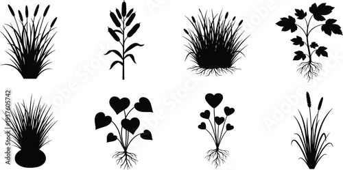 Black silhouette collection of marsh plants cattails wild grasses and aquatic weeds isolated on white background for nature landscaping design elements