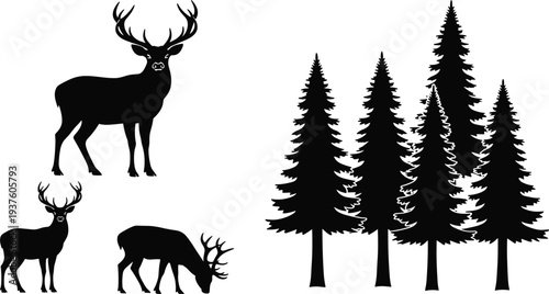 Black silhouette collection of wild deer buck and coniferous pine trees isolated on white background for forest wilderness nature design elements