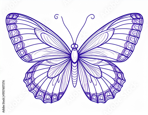 Meadow Butterfly Wing Veins