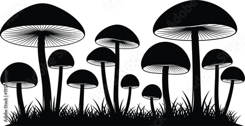 Black silhouette of various mushroom species in a forest grass field, minimalist nature botanical fungi scene isolated on white background,