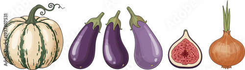 Vegetable illustration set with pumpkin eggplant fig and onion colorful fresh farm food icons for healthy cooking design
