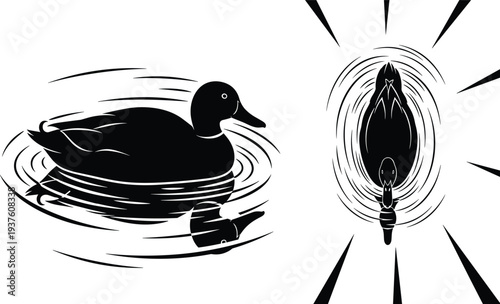 Black silhouettes of wild ducks swimming on water with ripples, hand drawn waterfowl bird icons isolated on white background, nature,