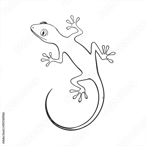 Gecko Lizard Line Art Vector Minimal Reptile Outline Illustration Isolated