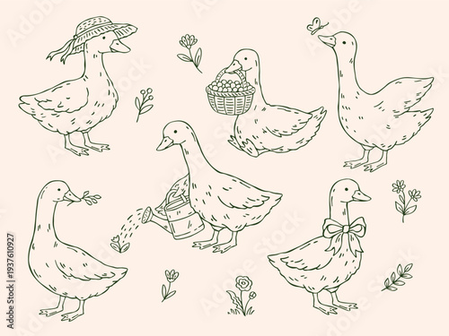 Cottagecore goose vector set in hand-drawn whimsical doodle style. Outline geese in various poses with rustic farm and floral elements. Clipart for prints, fabric, packaging, and design