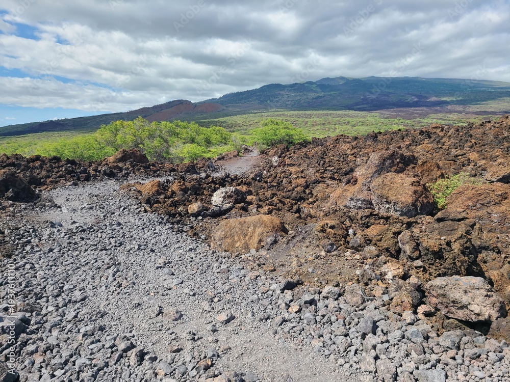 Obraz premium Hoapili trail along the coastline of Maui in Hawaii