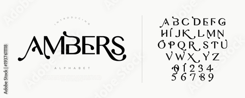 Ambers unique decorative display font with artistic curves for creative poster branding and vintage modern logo