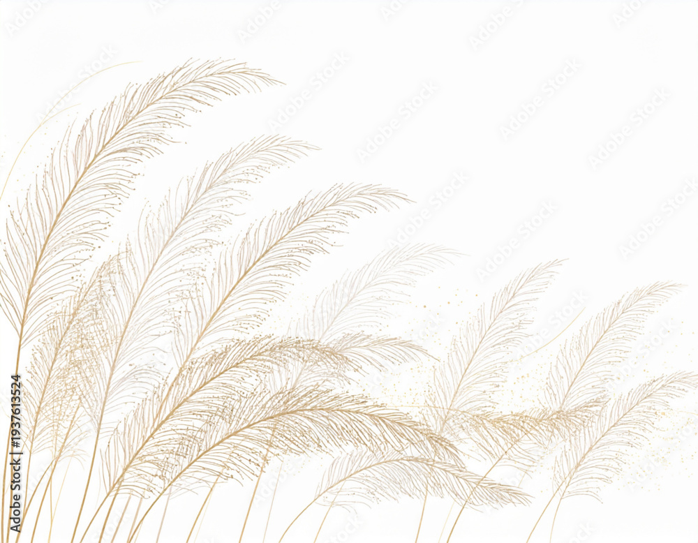 Fototapeta premium Pampas Grass Feather Plume