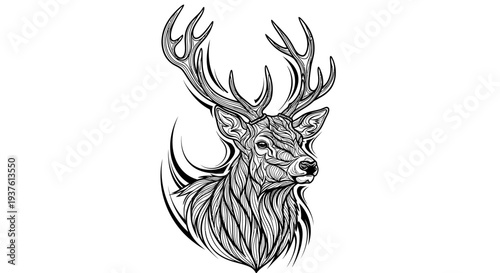 Intricate deer illustration with detailed antlers isolated on white background