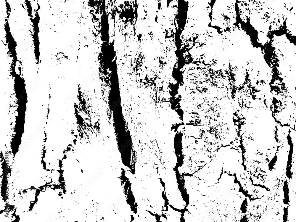 Fototapeta premium Grunge background black and white. Texture of chips, cracks, scratches, scuffs, dust, dirt .Vector pattern of cracks, chips, scuffs. Abstract vintage surface isolated on white background.EPS10.