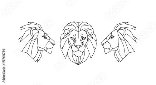 Geometric lion head line art set front and profile views on white