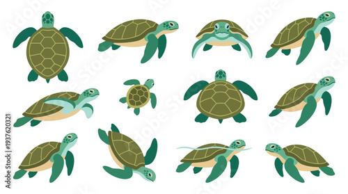 A collection of illustrations depicting sea turtles in various poses and from different angles, showcasing their shells and flippers.