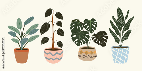 Stylized illustration of four potted houseplants with varying leaf shapes